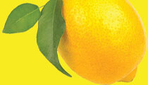 parfum miros de lămâie
