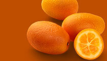 parfum arabesc kumquat